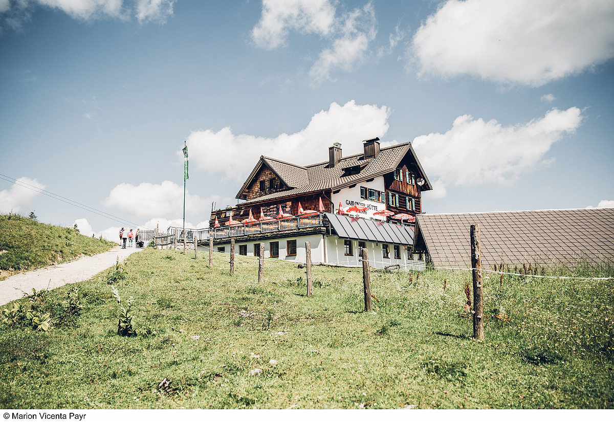 Trek Safari - King Dachstein Trail pro běžce 29